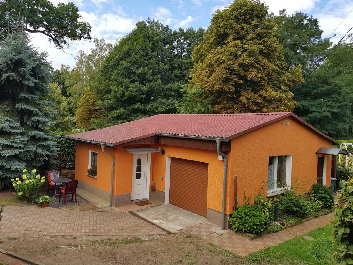 Ferienhaus Dubener Heide Appartamento Bad Düben Esterno foto